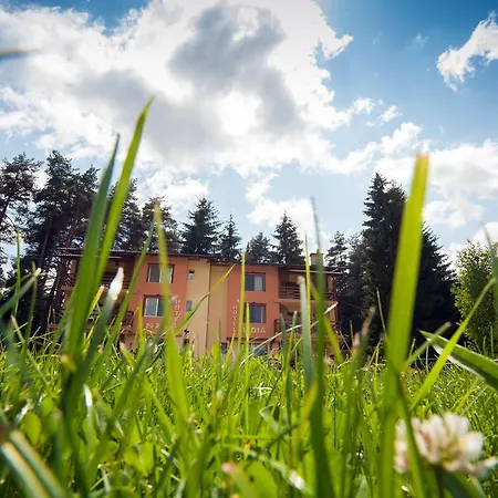 Guest house Lidia 2*